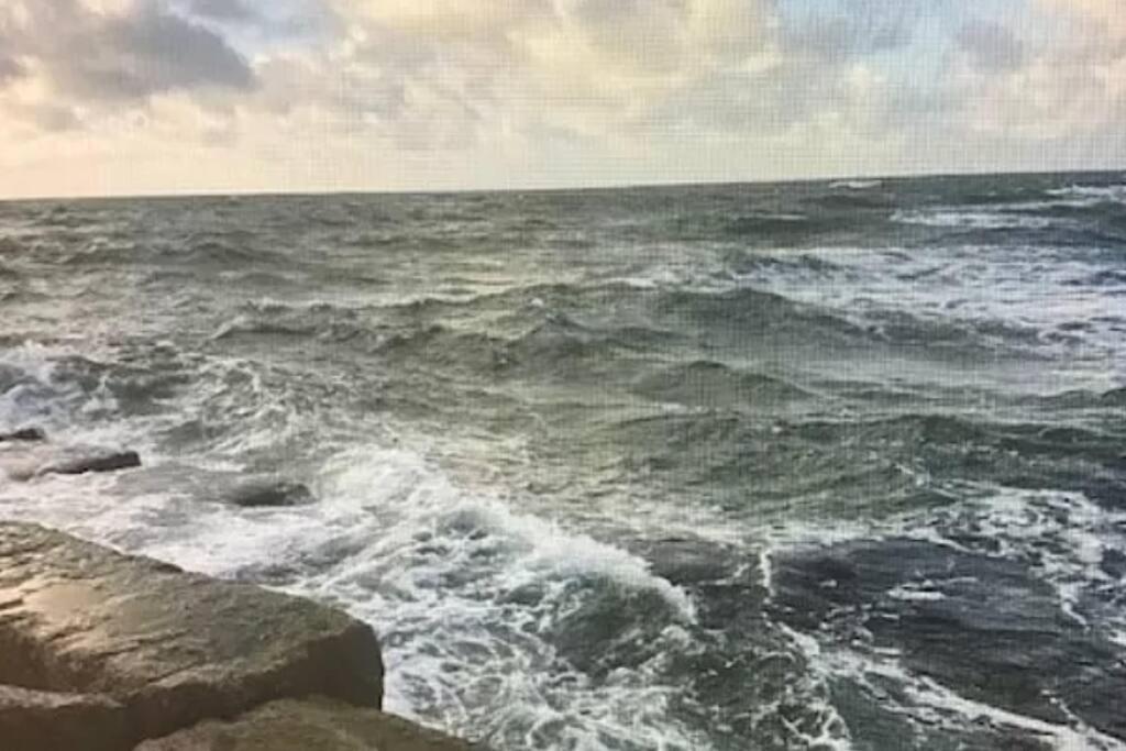 Cozy Beachside Condo With Pool View Corpus Christi Exterior photo